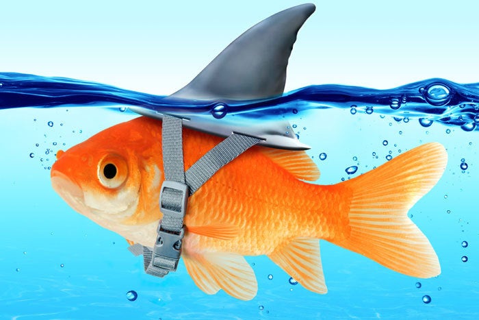 1 small business security