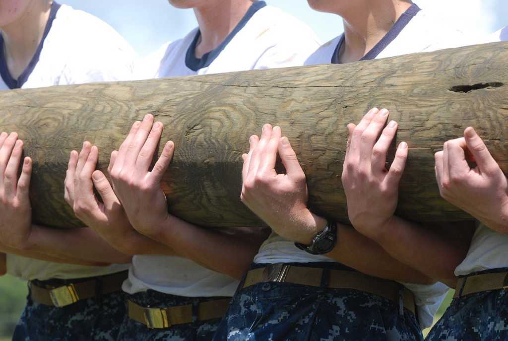 carry load heavy teamwork