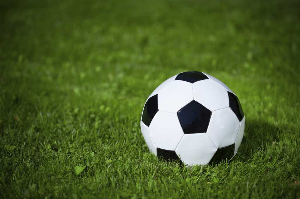 Soccer ball sitting in the grass