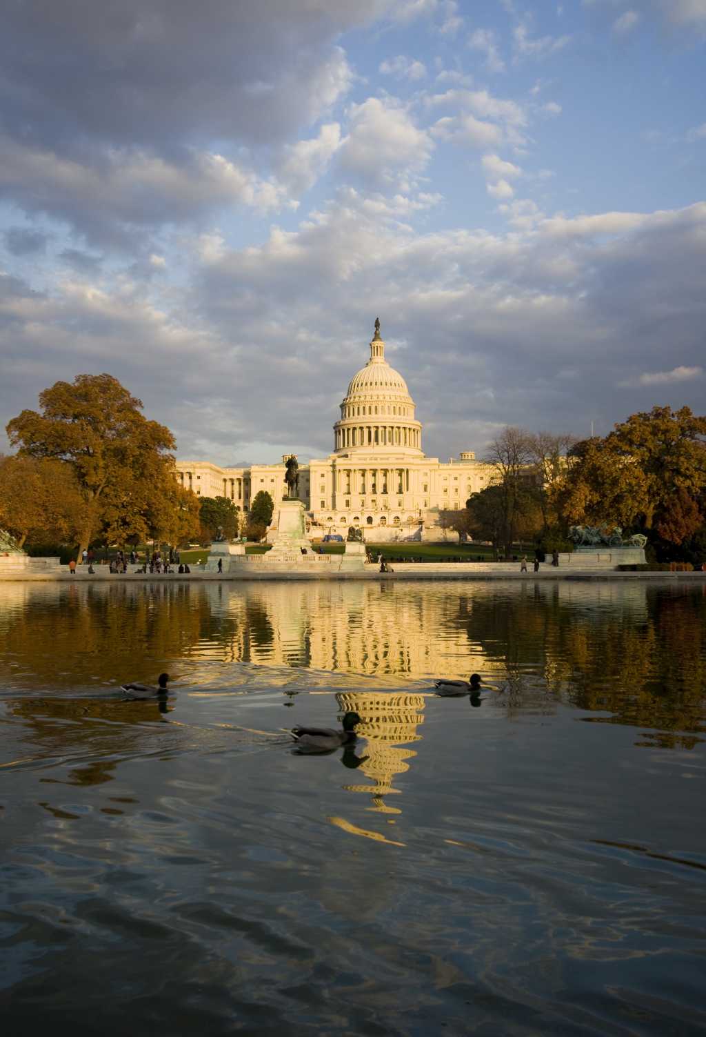 Capitol building, Washington D.C.    91632044