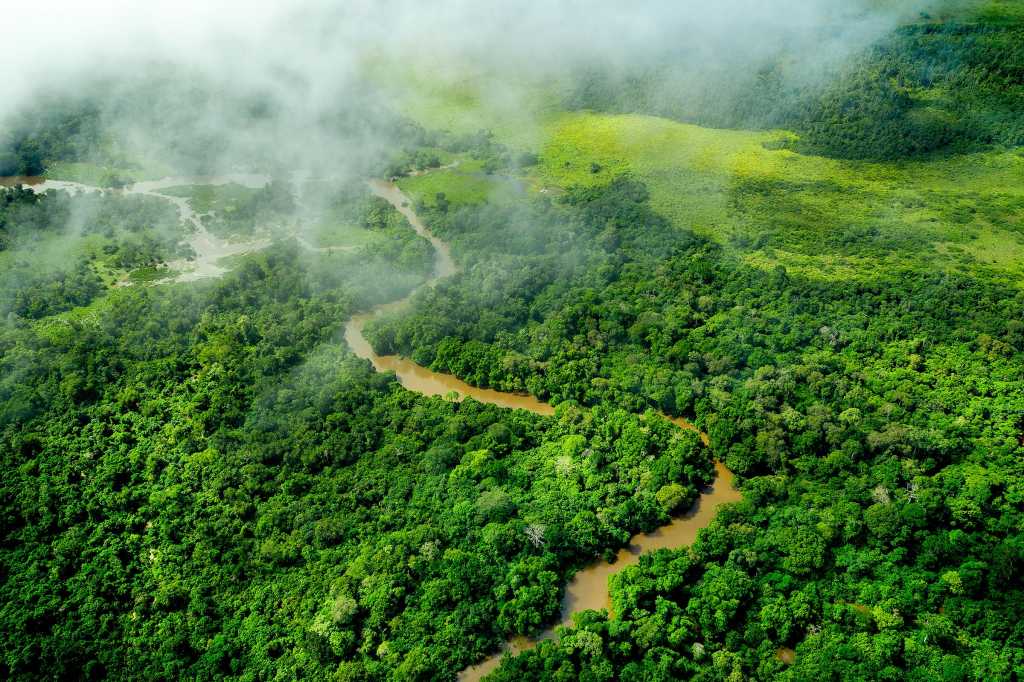 Africa  >  Republic of Congo  >  Meandering jungle river in the rainforest of the Congo Basin