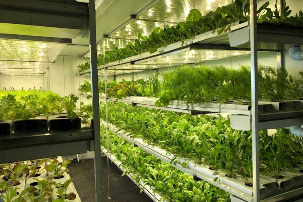 agriled1