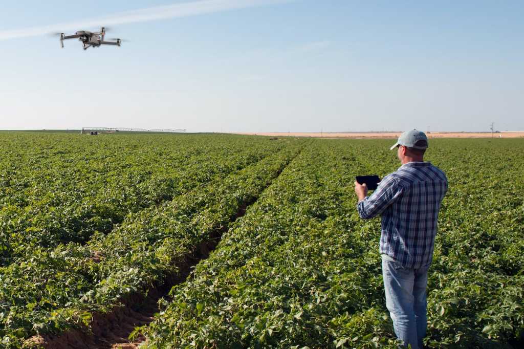 agroscout drone