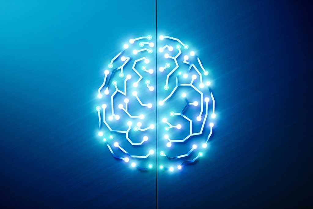 a digital brain