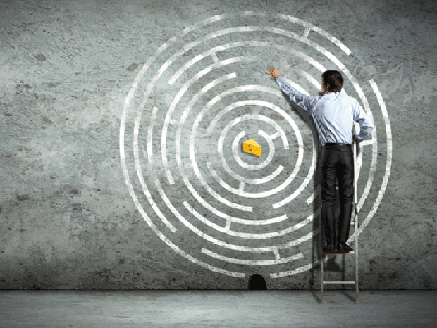 career path