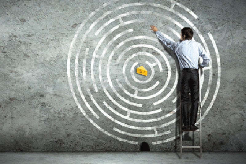 career path