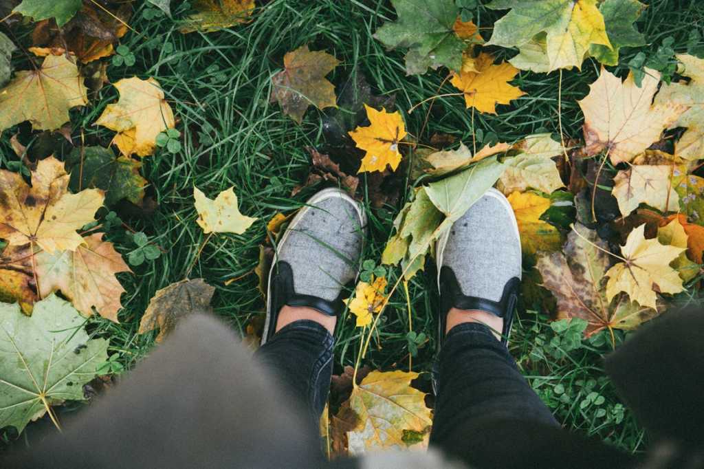 career path change shoes fall leaves seasons forward future alisa anton unsplash