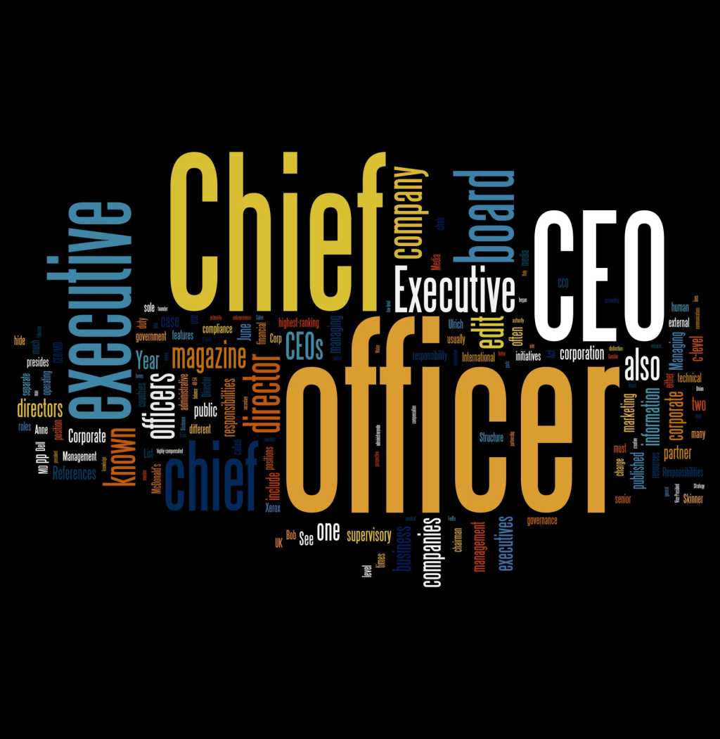 ceo role