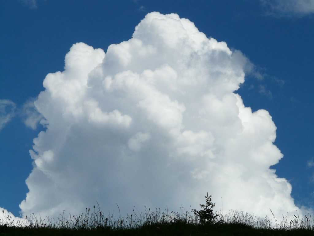 cloud saas