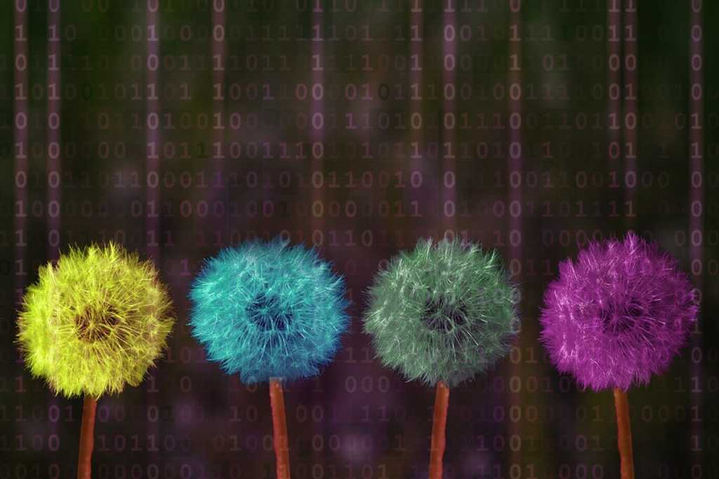 colorful dandelions binary digital transformation change rainbow code by pixabay