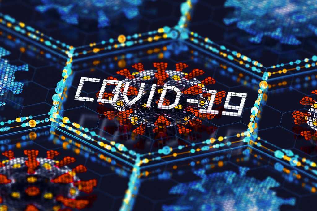 COVID-19 coronavirus morphology / network of cells