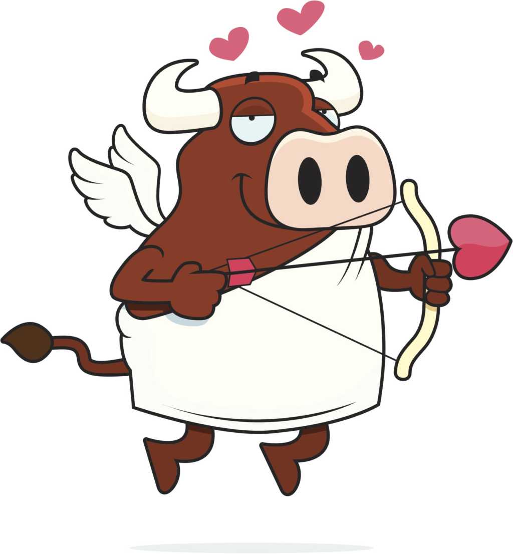 cow bull cupid thinkstock