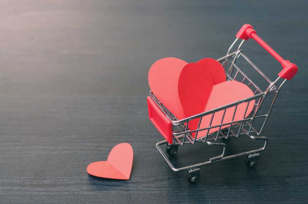 customer love ts