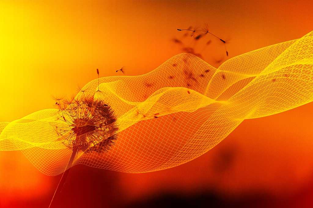 Digital Transformation / Dandelion seeds are blown by the wind in a digital stream or wave.