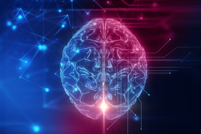 data science certification brain with data