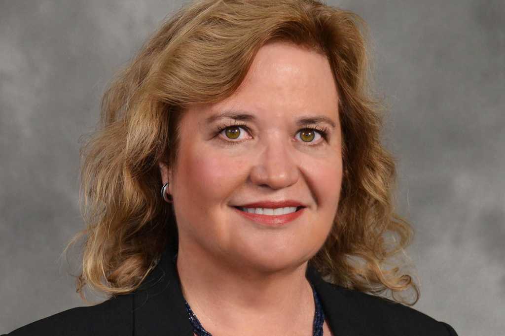 Diane Schwarz, CIO, Johnson Controls