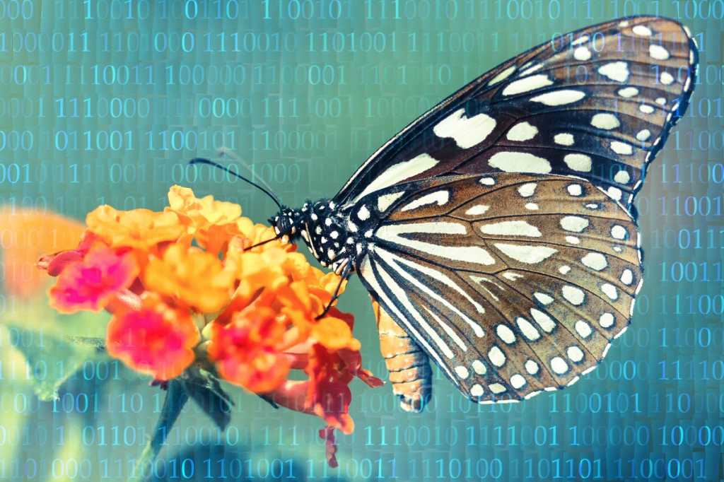 digital transformation butterfly change metamorphosis binary by boris smokrovic unsplash