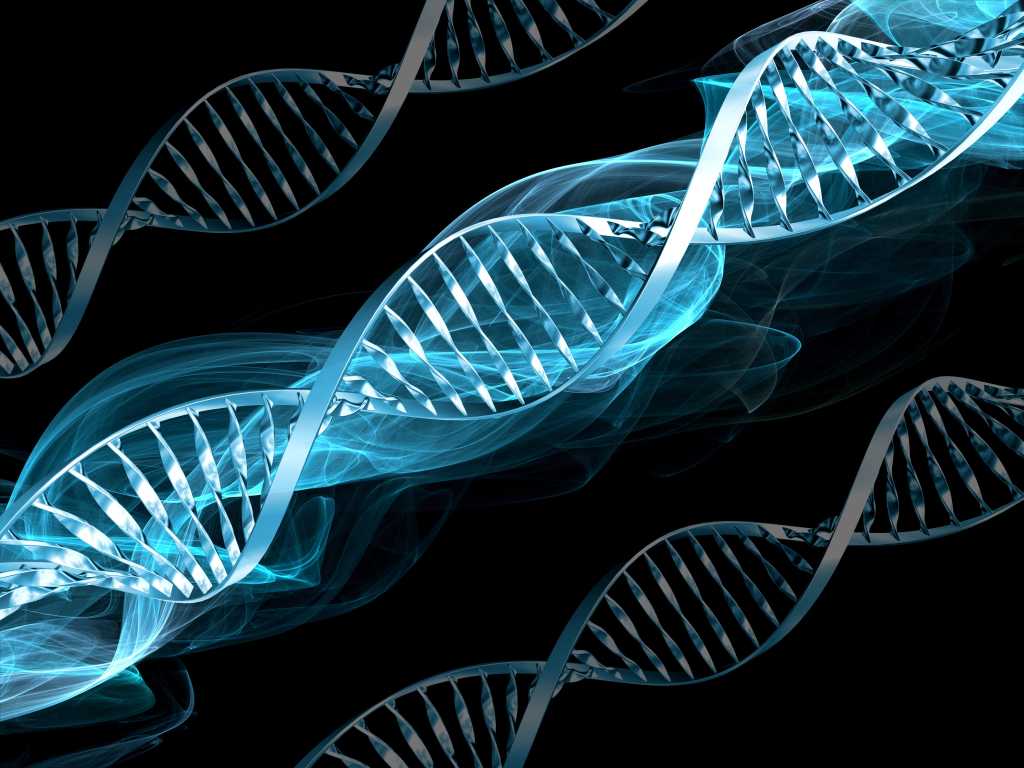 dna abstract