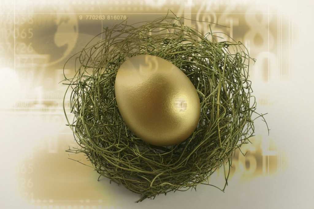 golden egg / nest / numbers / precious value / worth / growth