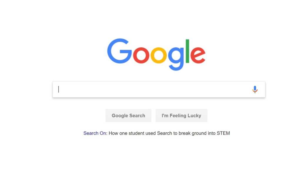 google search bar