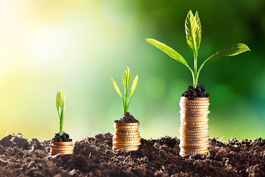 growth money time plants