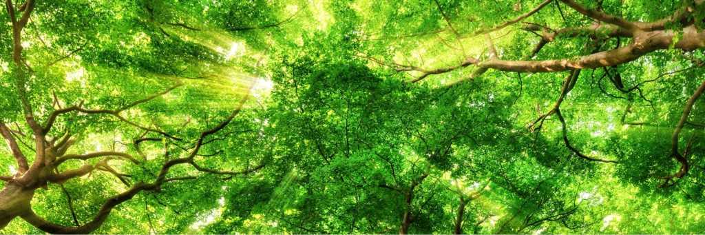 header artb2