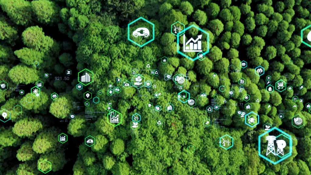 Trees