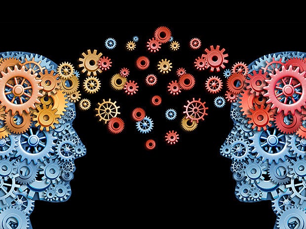 information exchange knowledge transfer