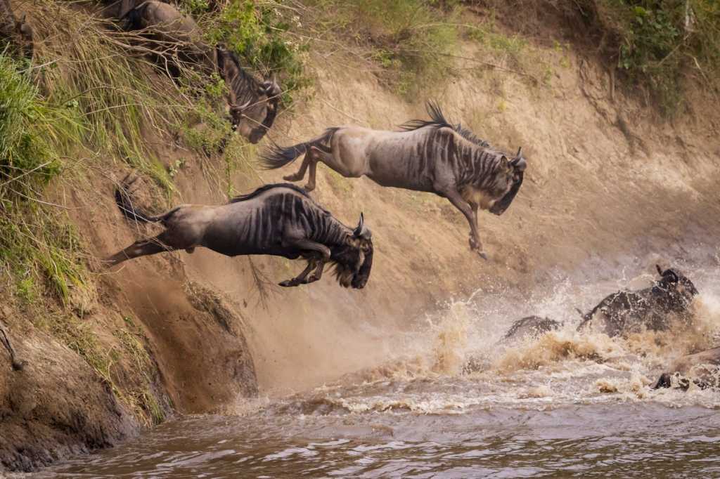 istock 1026960346