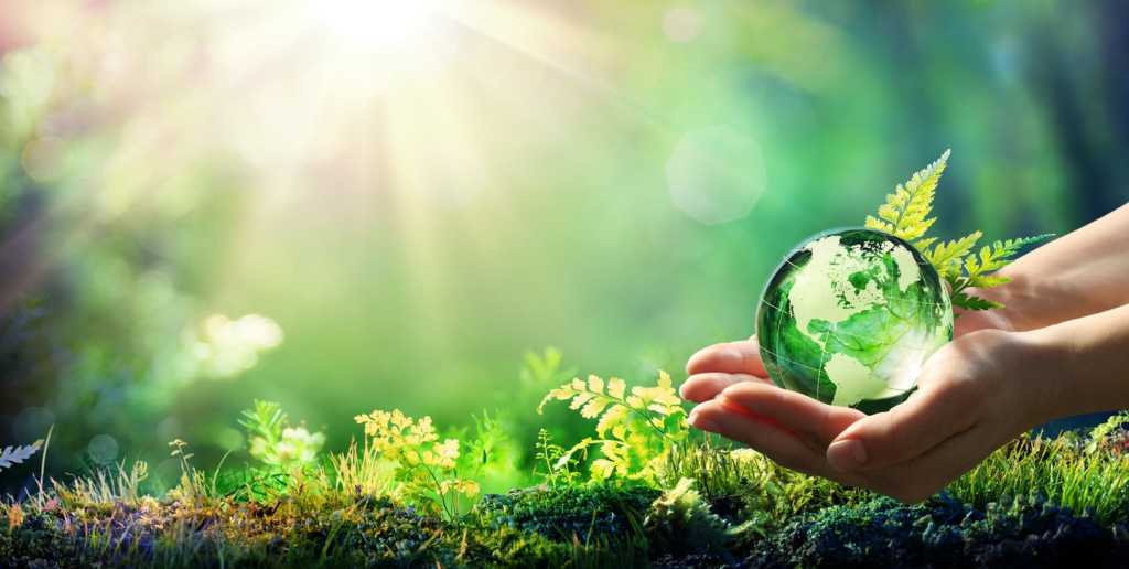 istock 1129110491