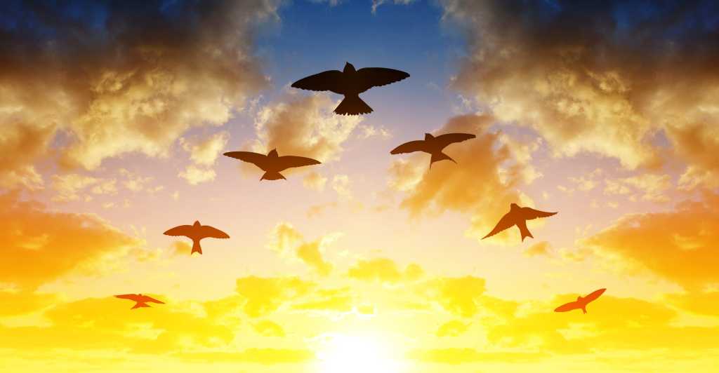 istock 1176701806