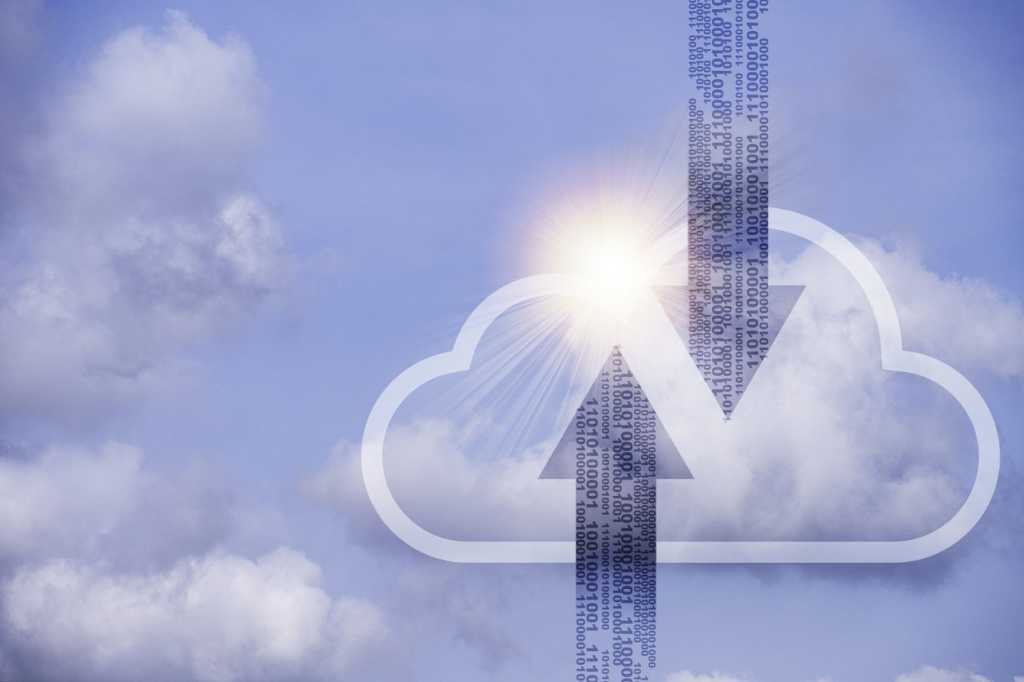 istock 1223990801