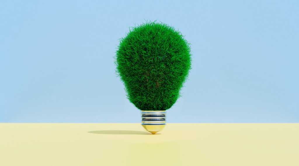 istock 1258859876