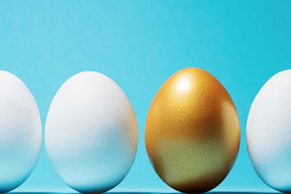 leadership golden egg unique singled out
