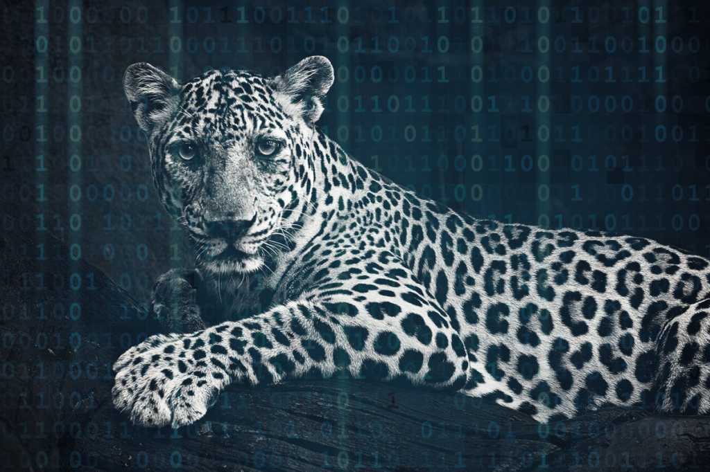 leopard changing spots digital transformation rene bernal binary