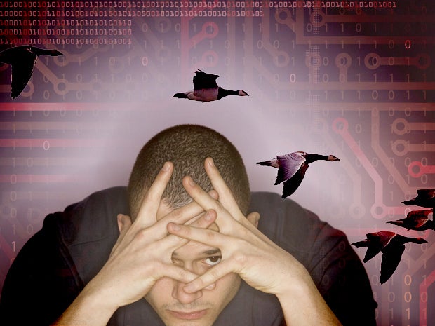 migration primary2