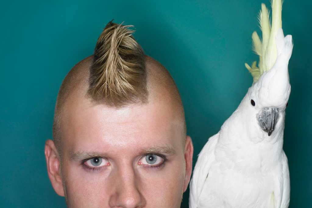 mohawk odd couple partnership collaborate