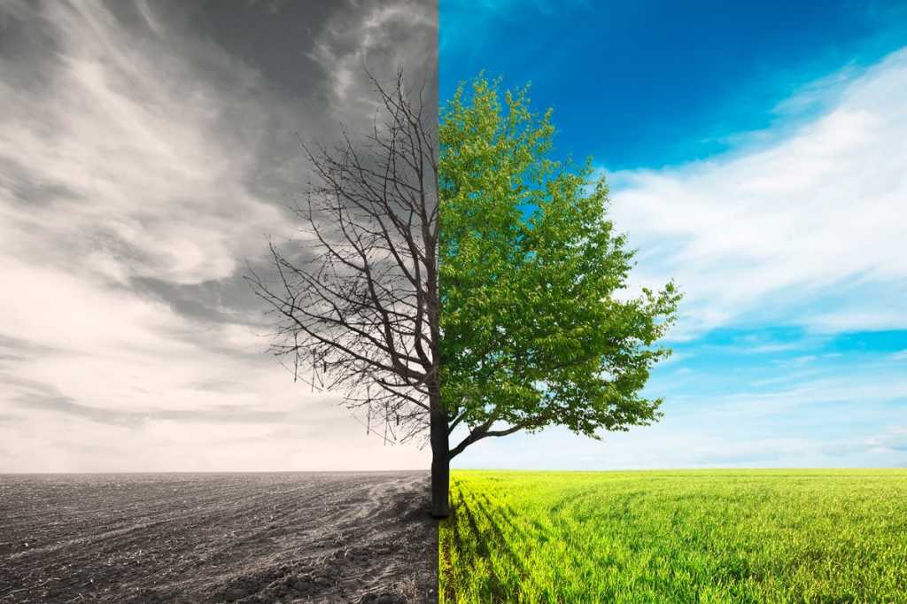 porting converting change update renew trees