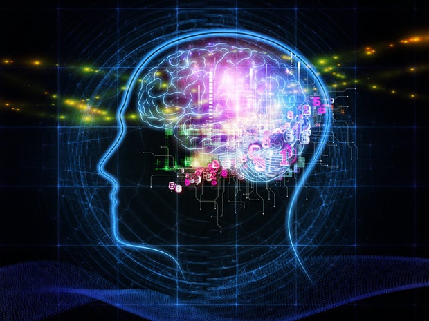 psychology mind state brain