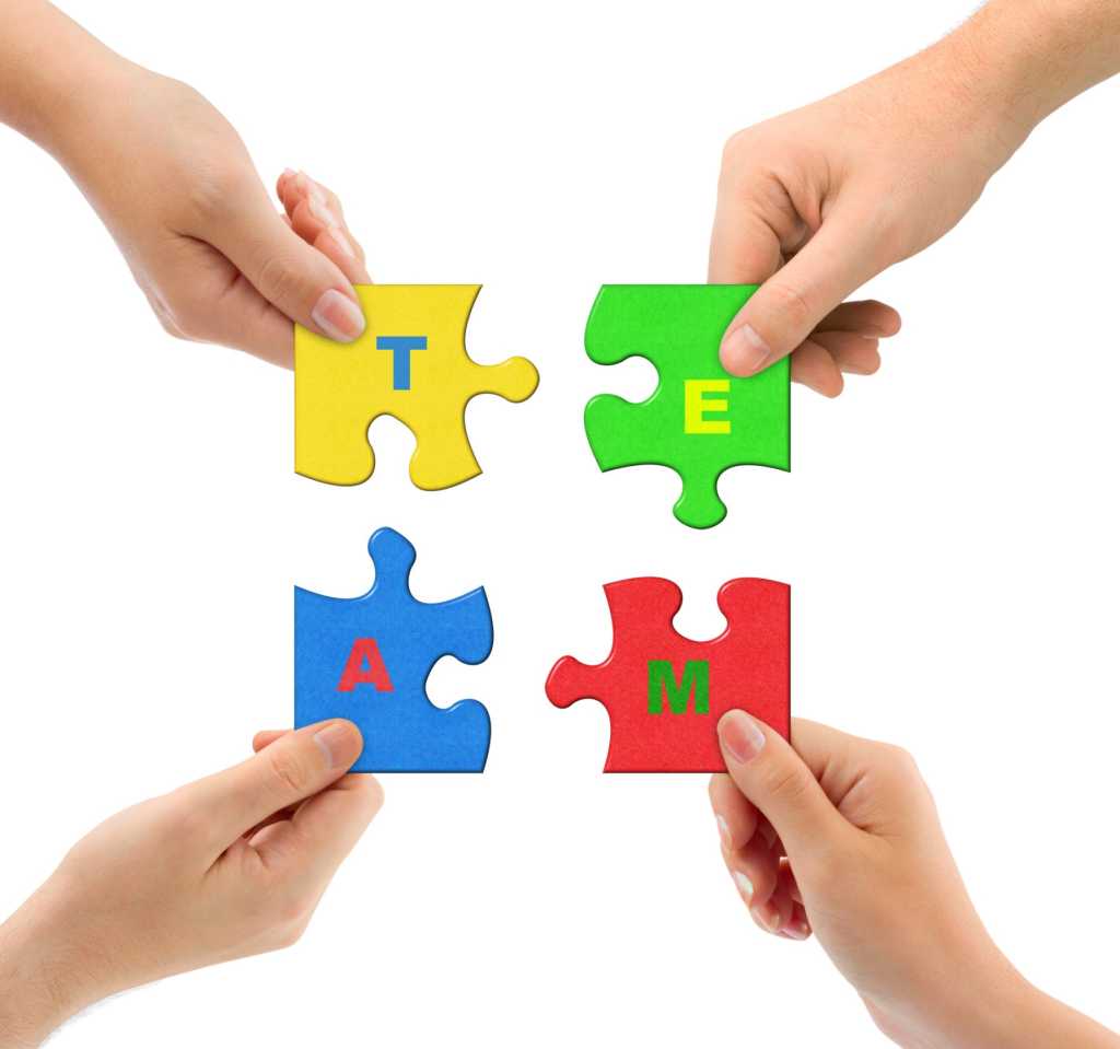 puzzle team ts