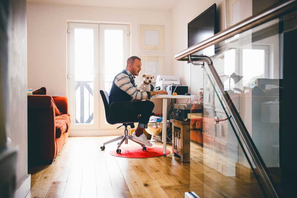 Remote worker  >  A man works from home with his dog