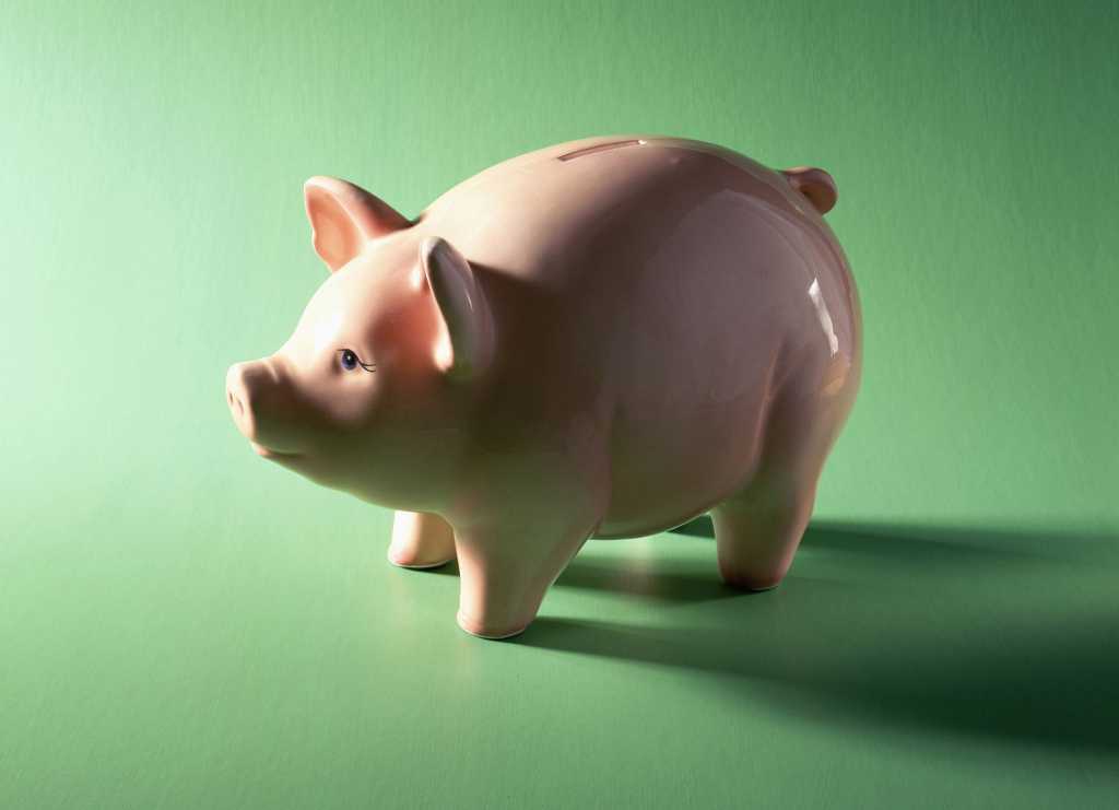 piggy bank on green background