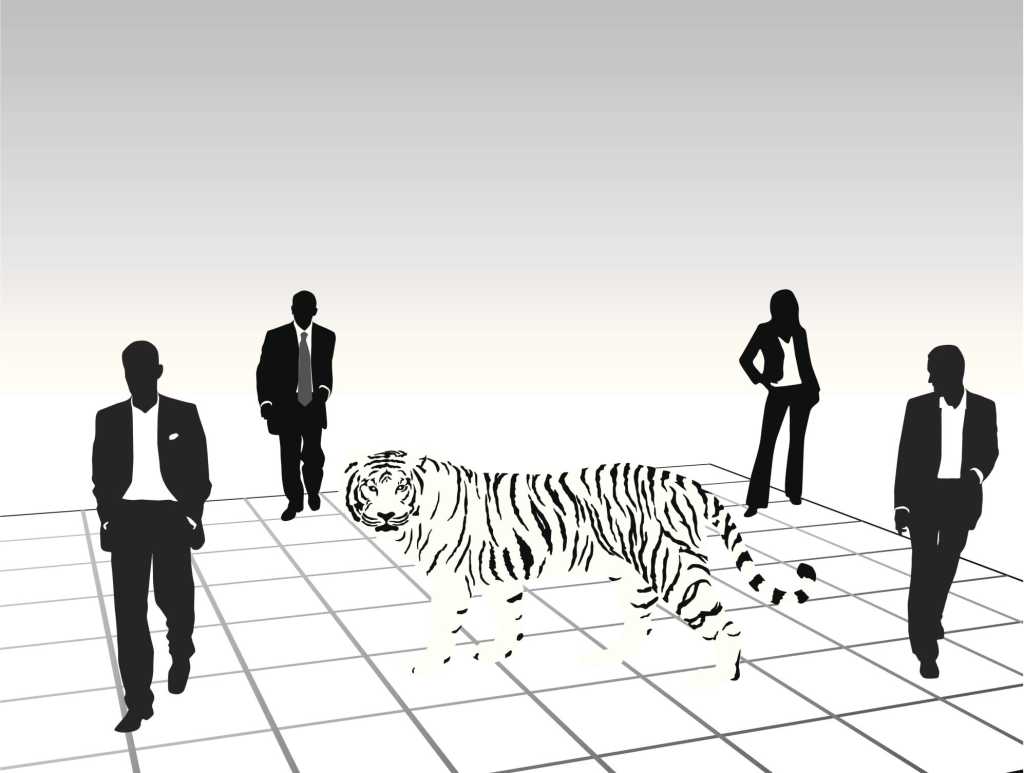 tiger it team ts
