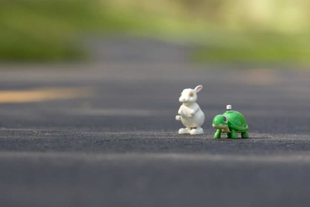 tortoise and the hare 145999344
