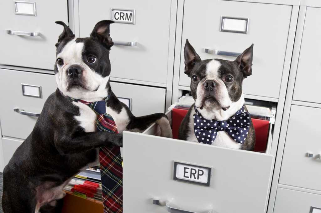 two dogs in file cabinet crm erp comparison similar pairs