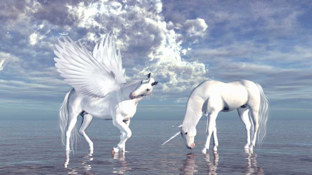 unicorn