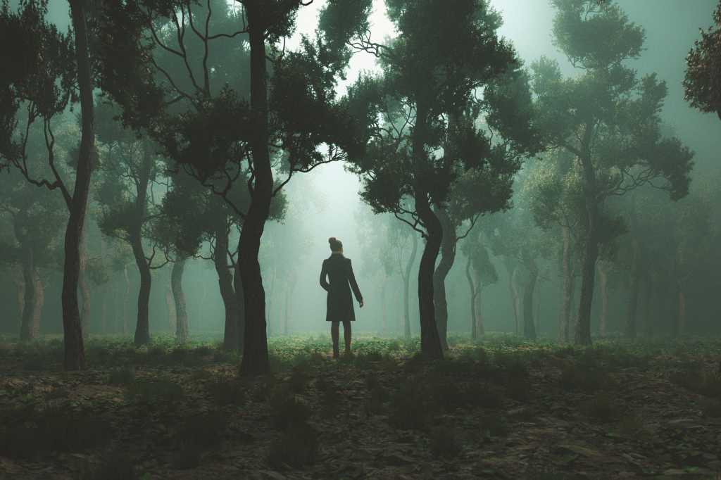 A woman alone in a forest lost regards her surroundings.  / confusion / uncertainty / challenges