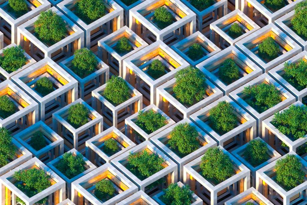 Ariel view roof garden