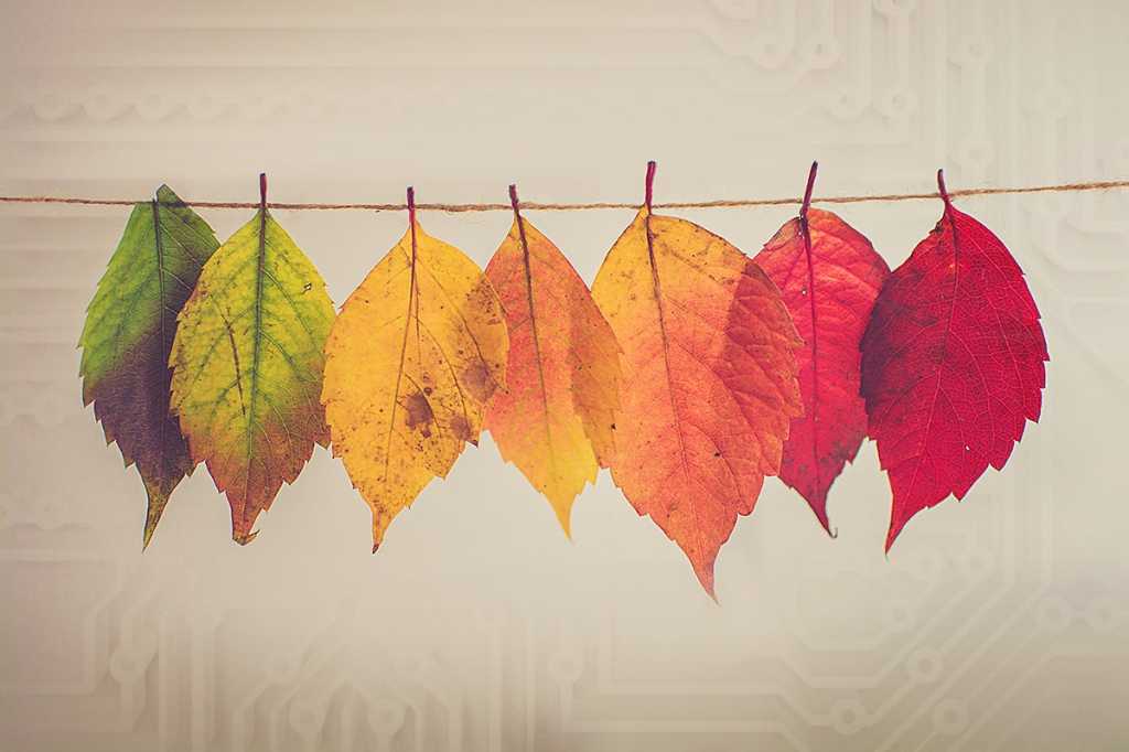 Digital Transformation / Spectrum of change in leaf colors against a background of circuits.