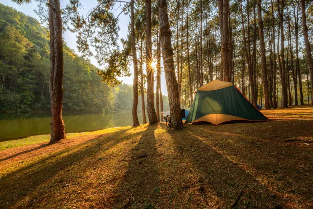 he beautiful scenery of a tent in a pine tree forest at Pang Oung, Mae Hong Son province, Thailand